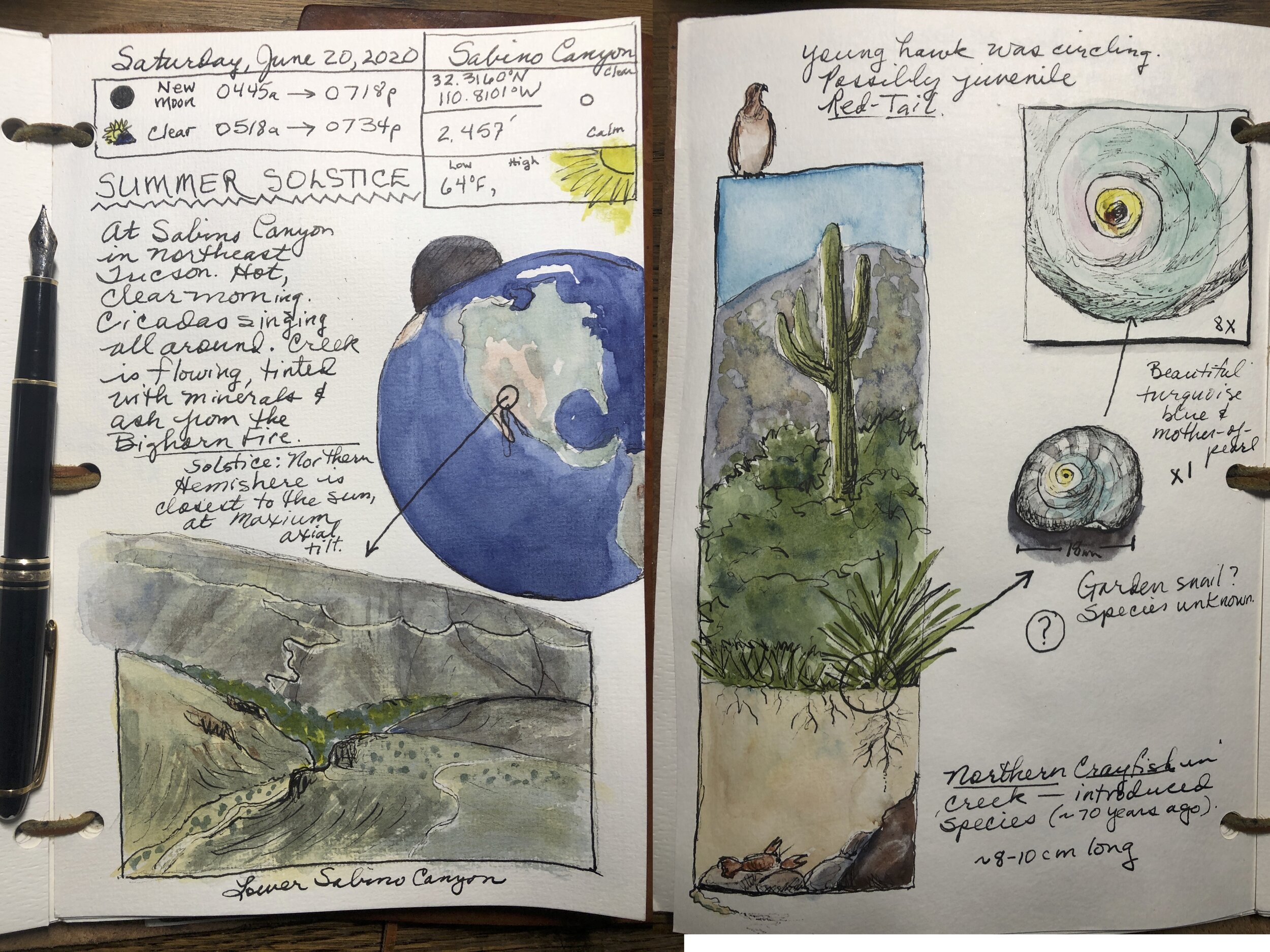 Nature Journaler Best Practices – Check-in for beginners (or